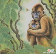 【星座控】五月迎来桃花盛开的生肖，真爱结缘，扣动心弦，从此脱离单身