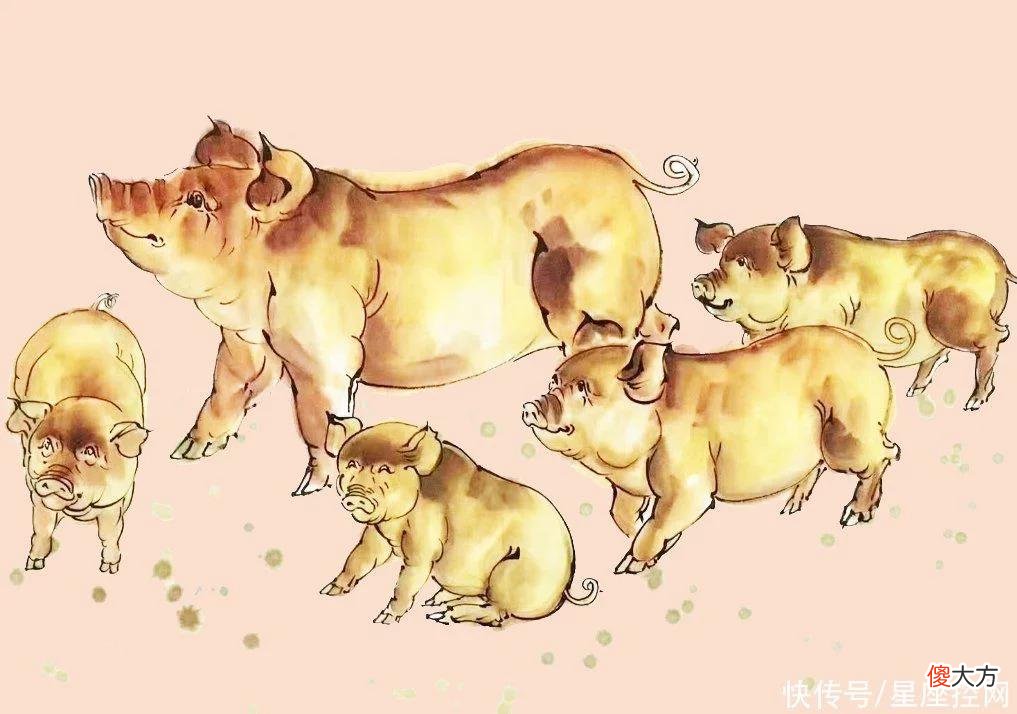 【星座控】五月迎来桃花盛开的生肖,真爱结缘,扣动心弦,从此脱离单身
