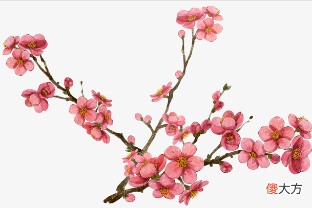 王冕的梅花诗情画意 描写梅花的诗王冕
