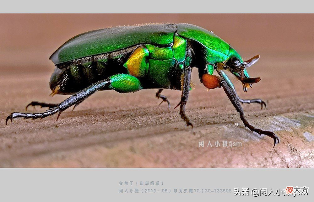 用什么样的手机才能拍摄出好看的照片 手机怎么样才能拍出好看的照片