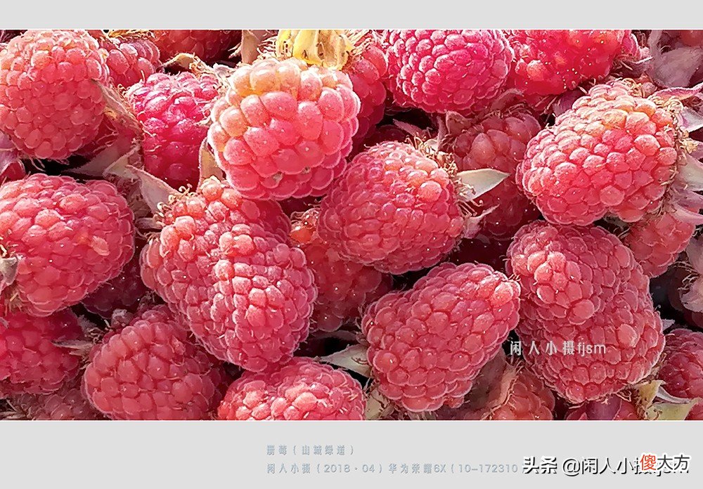 用什么样的手机才能拍摄出好看的照片 手机怎么样才能拍出好看的照片
