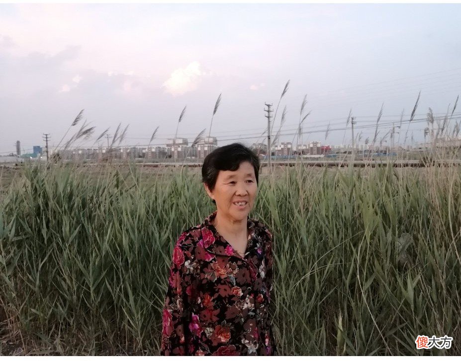 70岁玩转智能手机 老人玩转智能手机