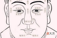 从面相看什么样的男人财运最好