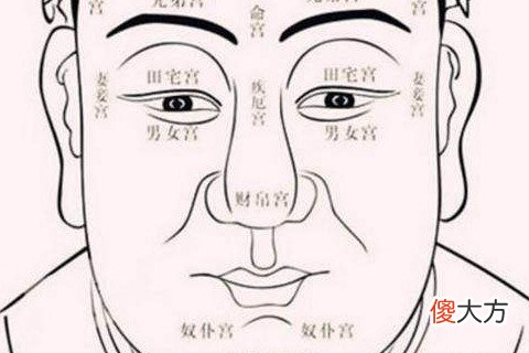 从面相看什么样的男人财运最好