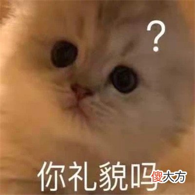 精选很搞笑的表情包最新| 精选很搞笑的表情包最新
