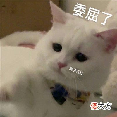 精选很搞笑的表情包最新| 精选很搞笑的表情包最新
