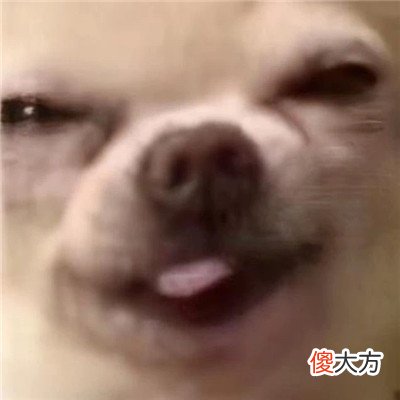 精选很搞笑的表情包最新| 精选很搞笑的表情包最新