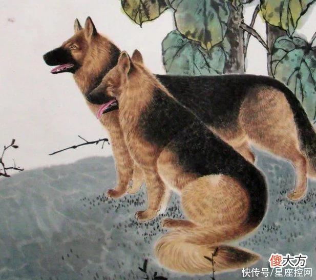 【星座控】2022整年富裕，四生肖一时半刻也不差钱，偶有升职加薪之喜