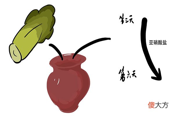 吃酸菜会诱发癌症吗 吃酸菜会得癌症吗