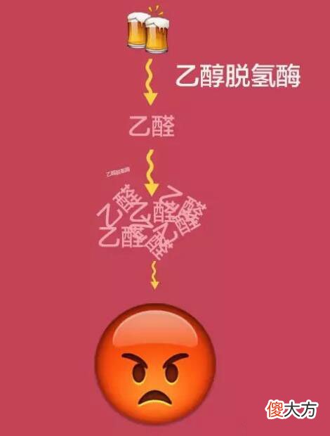 吃什么能快速解酒 吃什么能快速解酒查不出酒驾