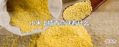 小米上插香意味着什么| 小米上插香意味着什么