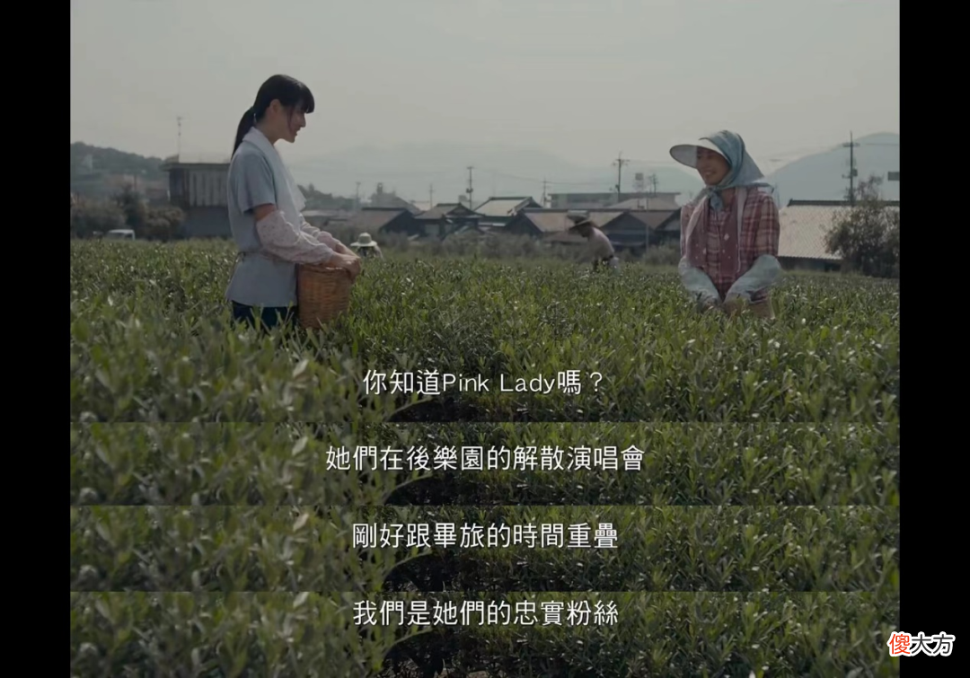 这些催泪神片，今天必刷！