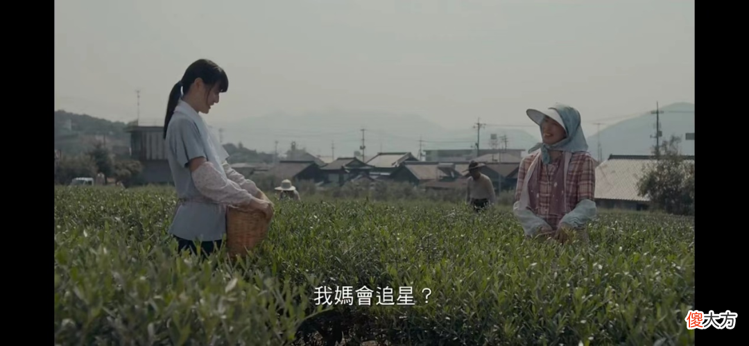 这些催泪神片，今天必刷！