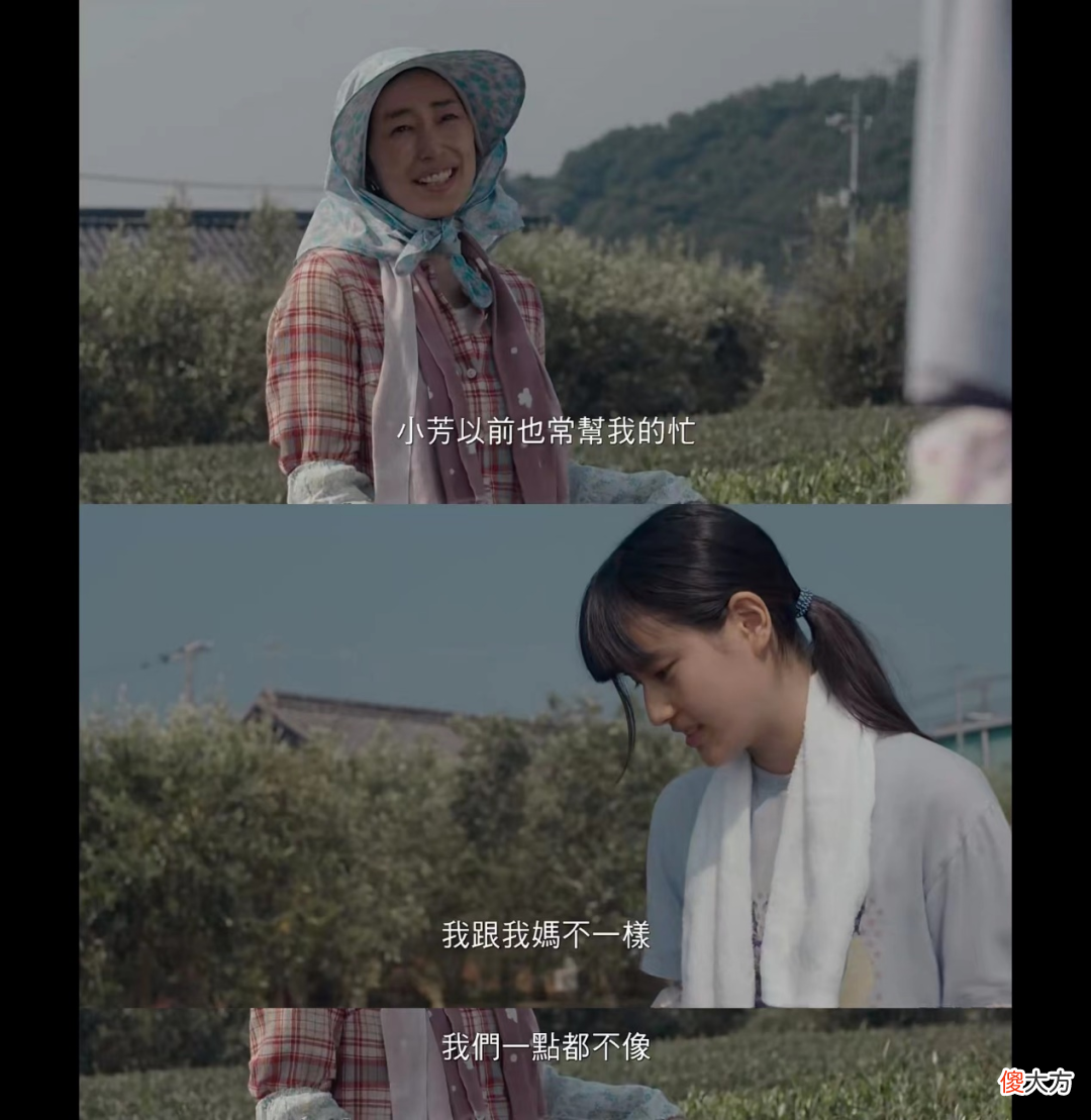 这些催泪神片，今天必刷！