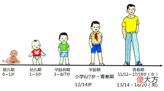 10岁男童半年长高15厘米！抓住3个关键阶段，孩子长高不再发愁