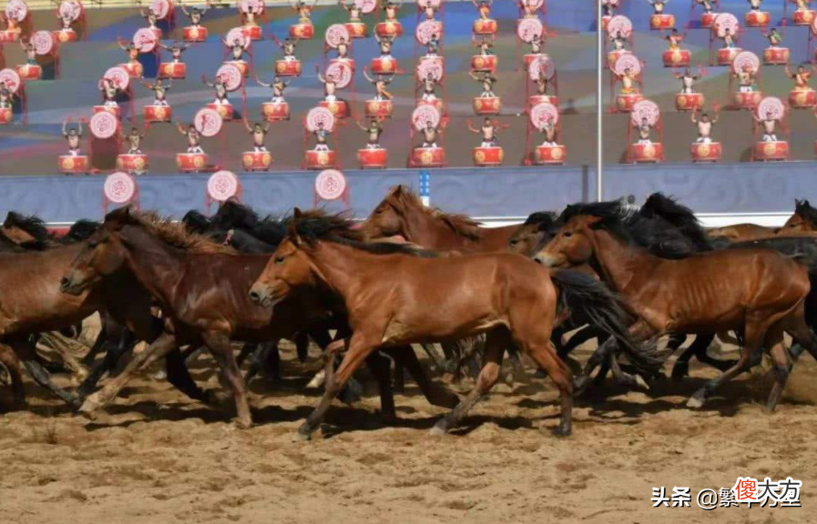 宁夏与内蒙古的区划变动 内蒙古区划变更