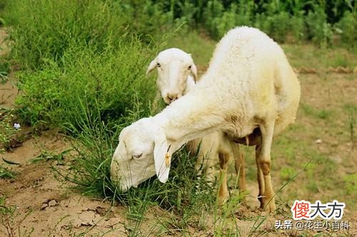 宁夏曾经是甘肃的一部分后又划分出来 宁夏从甘肃划分出去的原因