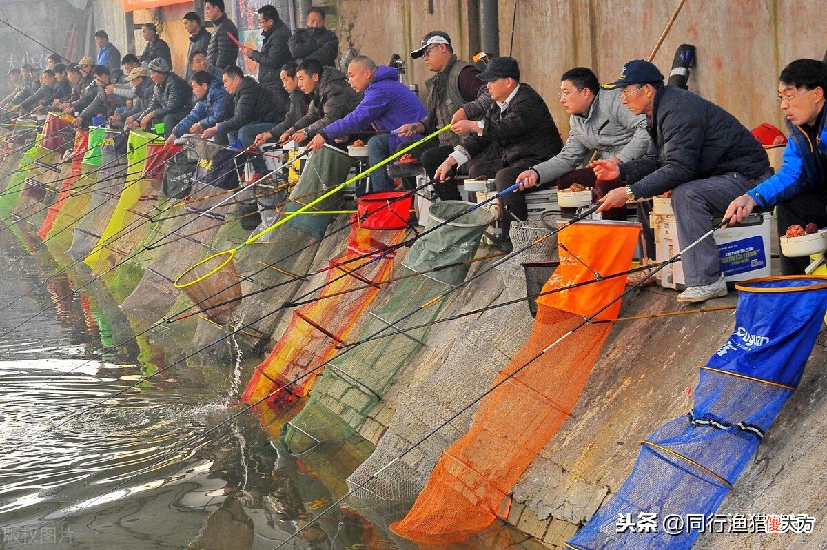 钓黑坑是什么意思 钓鱼钓黑坑是什么意思