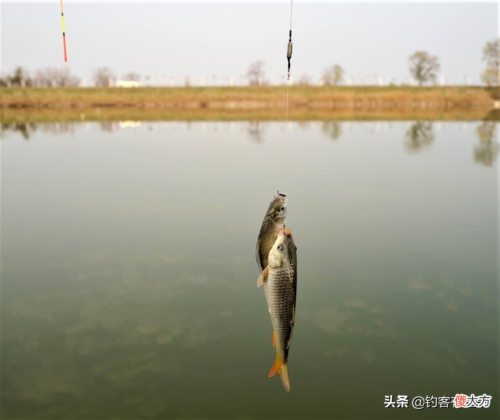 钓鱼总是空军 钓鱼总是空军怎么回事