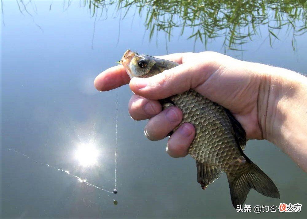 钓鱼总是空军 钓鱼总是空军怎么回事