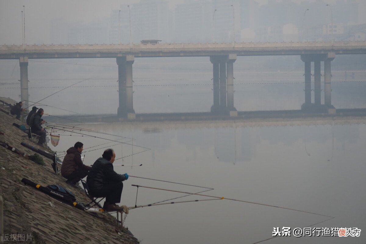 阴天适合钓鱼吗 仲春阴天适合钓鱼吗