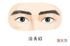 哪种眉毛的男人命好