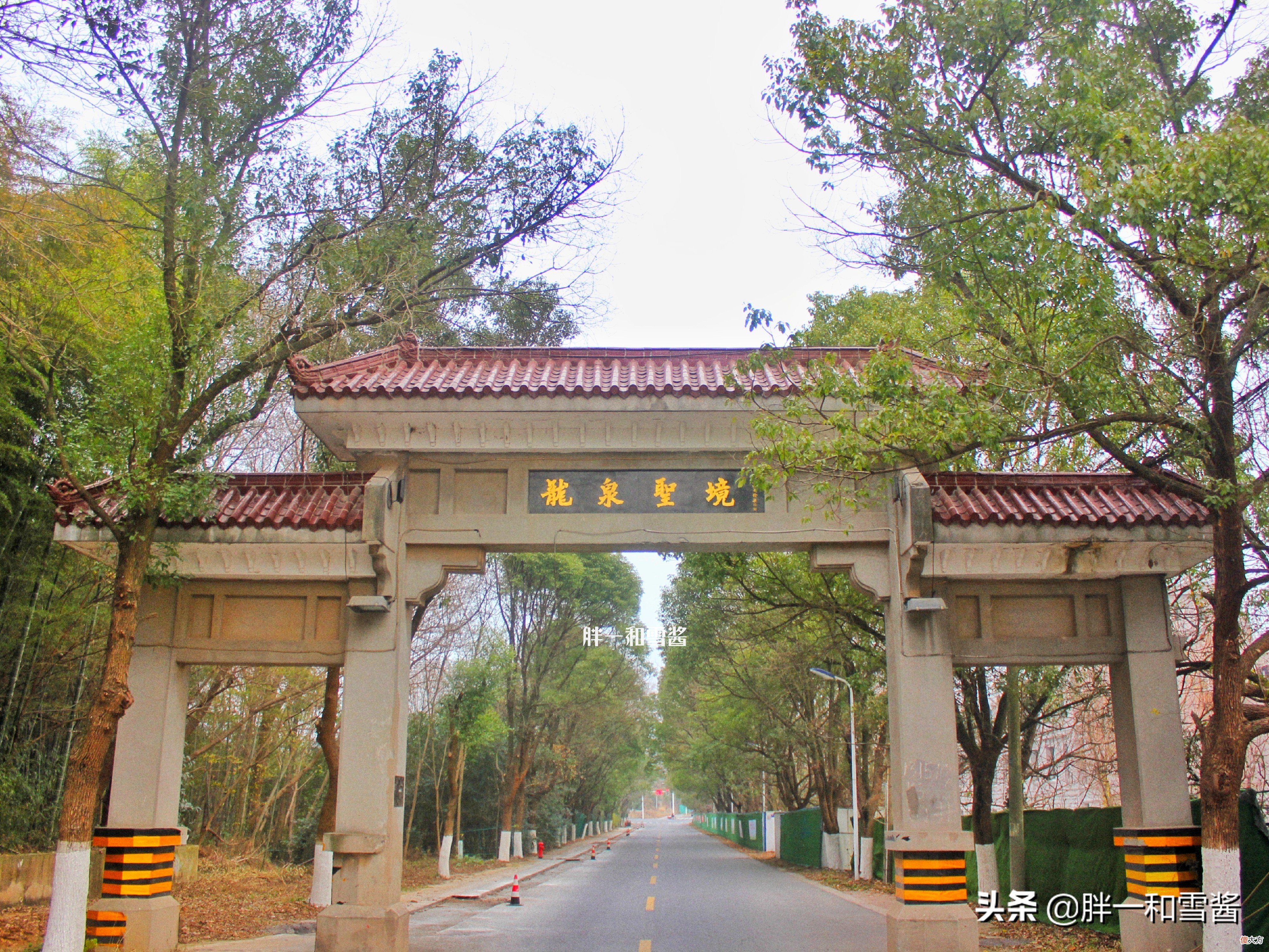 金陵南郊三大名泉之龙泉在哪？1300年古寺，一株唐梅树下参禅修行