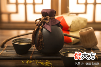 秋季限定的桂花终于开了 桂花 秋季