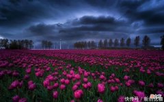 【星座控】5月，财星高照，财运好兆头，顺风顺水，一路财势通达的三个生肖