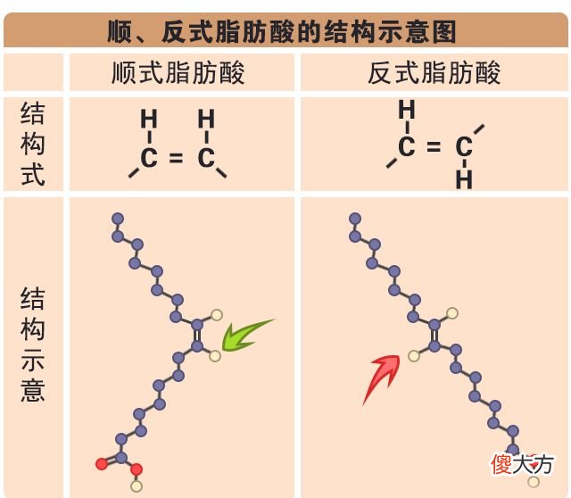 为什么地沟油比普通油好吃 地沟油为什么这么香