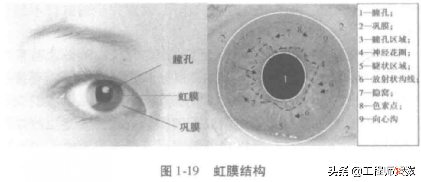 美军曾收集阿富汗人生物信息！撤军遗留的虹膜识别设备长什么样？