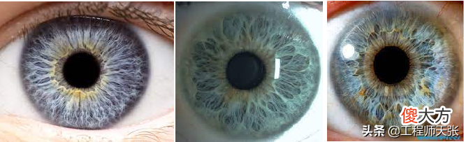 美军曾收集阿富汗人生物信息！撤军遗留的虹膜识别设备长什么样？