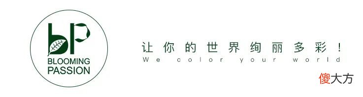 准备好迎接“兔精灵”了吗？6款花开200多天的劳模仙客来翩翩下凡