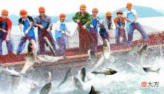 中国渔民有多猛 中国渔民现状