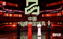 华为凭什么能获此殊荣 华为被誉为什么
