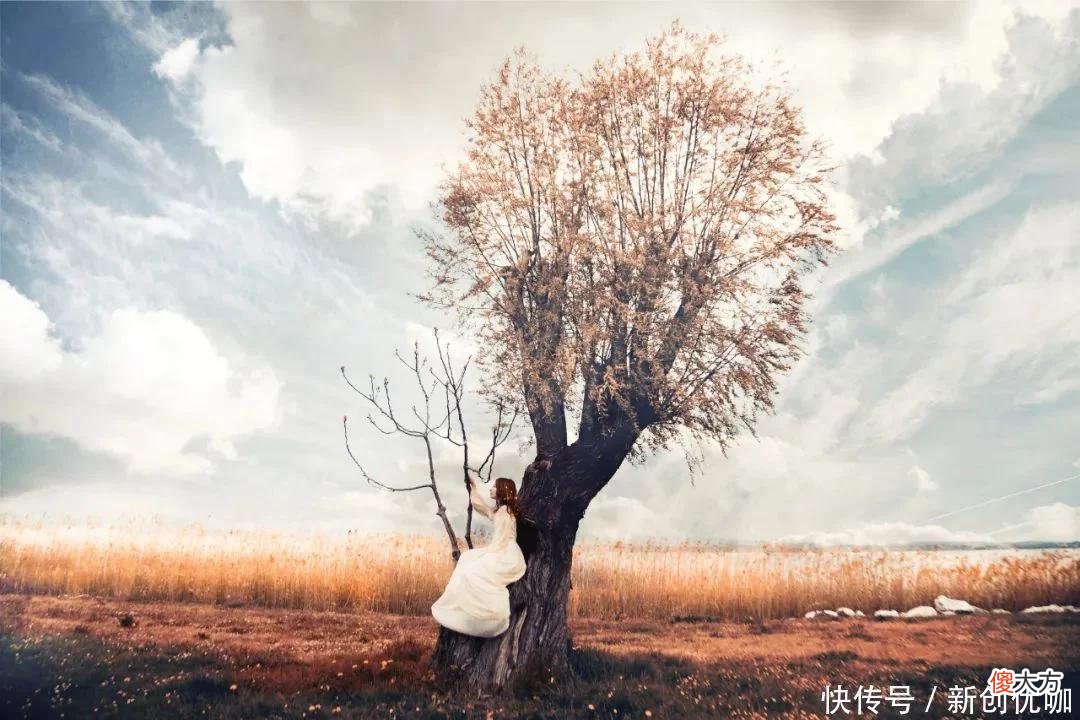 【十二星座】2022年,柳暗花明,趋吉避凶,告别单身,遇见真爱良缘的三个生肖