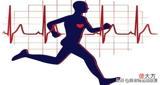 什么是有氧运动 什么是有氧运动和无氧运动有哪些?