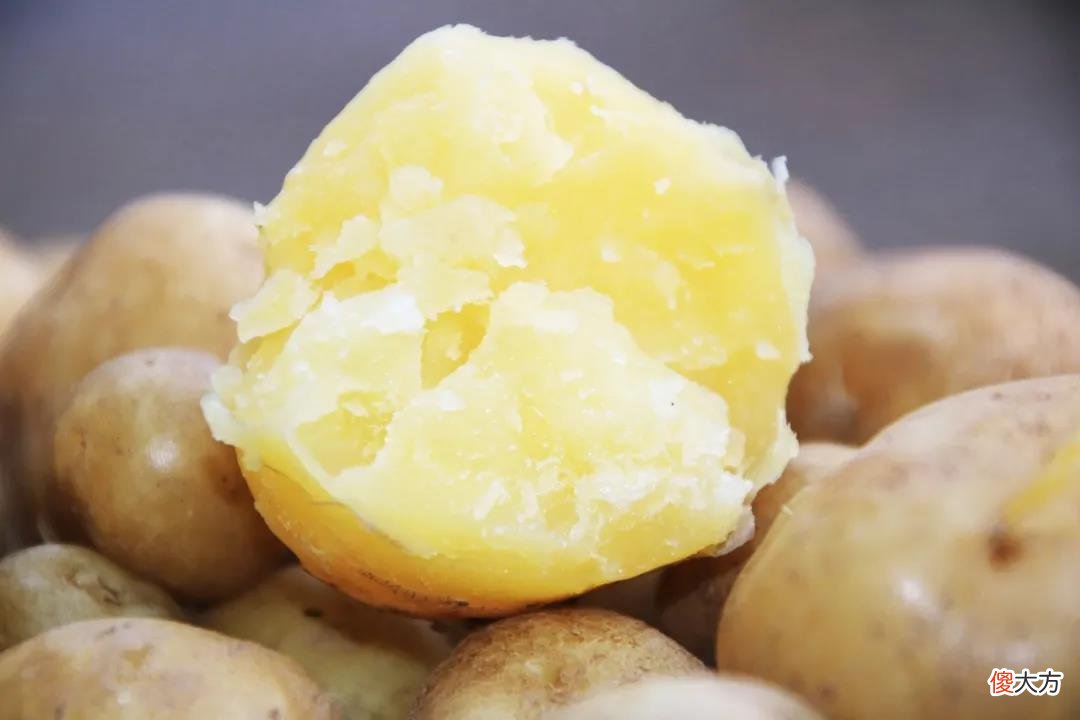 土豆千万不能这么吃 什么样的土豆不要吃