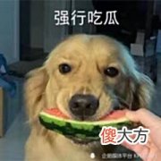 【游戏迷】KPL转会瓜：TTG计划重组，除九尾外全挂牌，国一马超啊泽也将挂牌