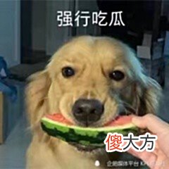 【游戏迷】KPL转会瓜：TTG计划重组，除九尾外全挂牌，国一马超啊泽也将挂牌