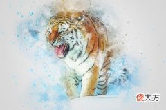 生肖虎人最怕什么事情