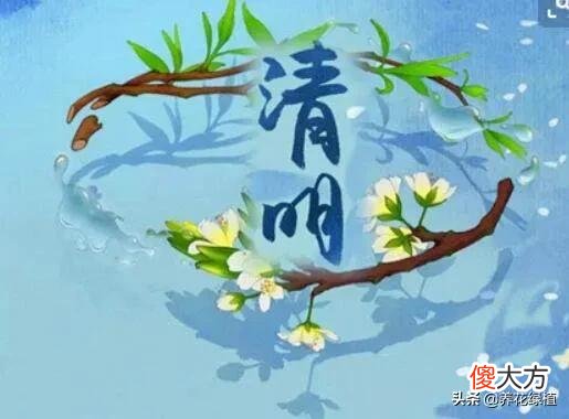清明节就要到了 清明节就要到了,今天教大家画一幅漂亮的清明手抄报!