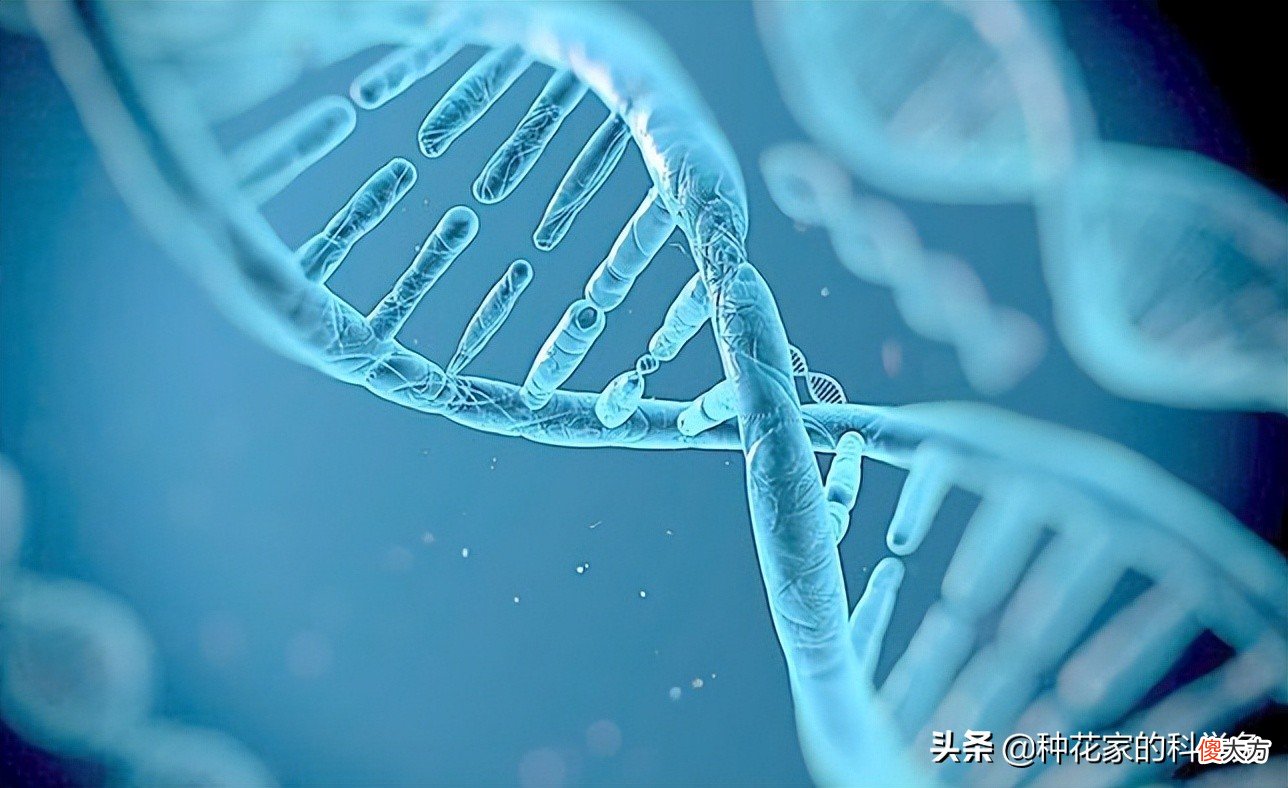 地球上就没有人类干不掉的生物 世界上不该存在的生物