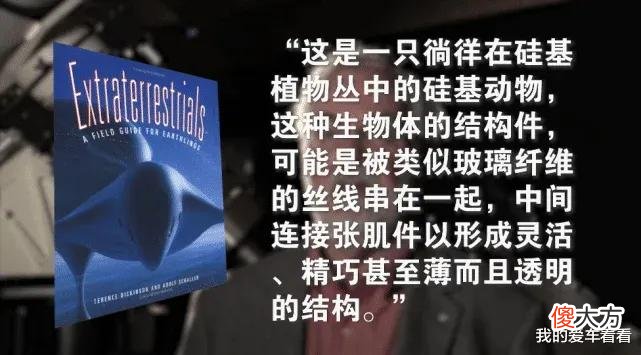 地球为什么选择了碳基生命 地球生命为什么都是碳基