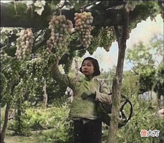 【历史故事】1939年河北宣化县老照片再现当年古城风貌！