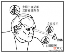 拍照时用一只眼睛取景 摄影左眼取景