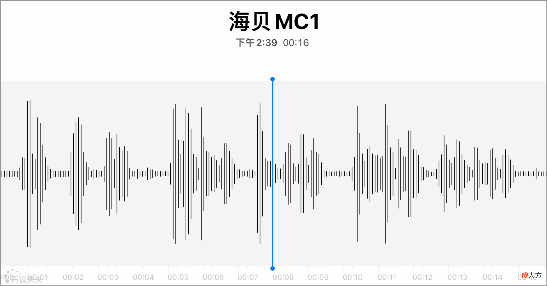 视频拍摄好拍档 最佳拍档视频