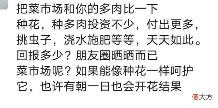 养花种多肉到底有什么用 种多肉植物有什么用