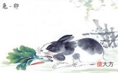 属兔犯太岁的年份