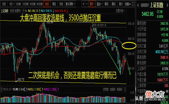 黑天鹅又来了 又见黑天鹅
